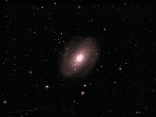 A 12 min capture of M81 - Bode's Galaxy